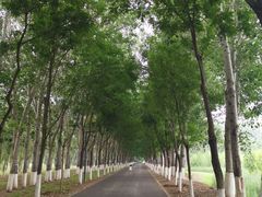 -东郊湿地公园