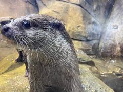 -波塞冬旅游度假区