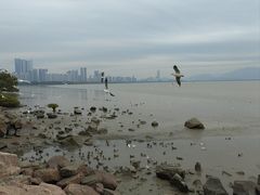 -深圳湾公园(南山区)