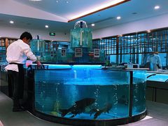 -姜君·千岛湖鱼头馆(浦东大道店)