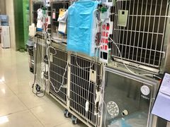 -申普宠物医院·心脏介入·心血管微创(总院)