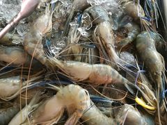-芭提雅Amporn Seafood自助餐厅