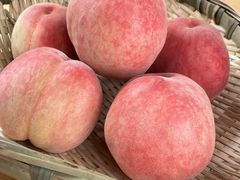 -老袁家蜜桃农场·阳山水蜜桃