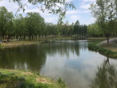 -东郊湿地公园