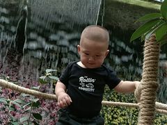 -花之城