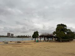 -天屿湖
