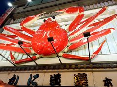 -蟹道乐(道顿堀本店)