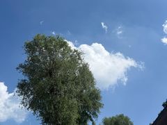 -雁门关景区