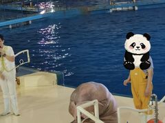 -泉城欧乐堡海洋极地世界