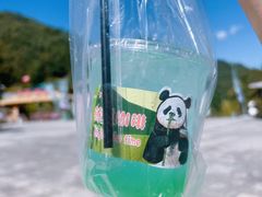 -栾川竹海野生动物园