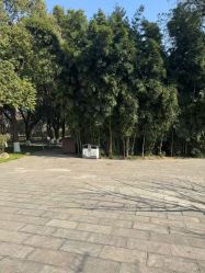 点击看大图 -玄武湖景区-情侣园游乐场