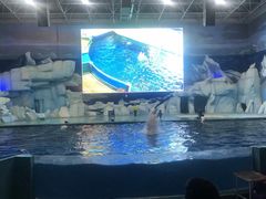 -福州罗源湾海洋世界旅游区