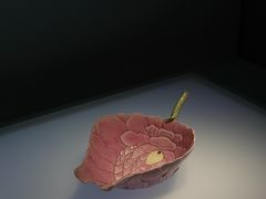 -山东博物馆