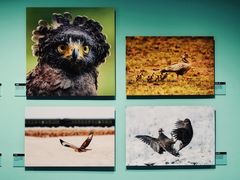 -中国湿地博物馆