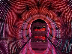 -正佳自然科学博物馆