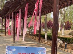 -静之湖度假区