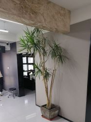 -宫铭烫发染发接发店