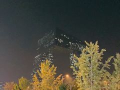 -中央广播电视总台(光华路办公区)