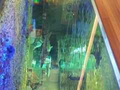 -趣陶陶艺手工坊(新世界百货重庆店)