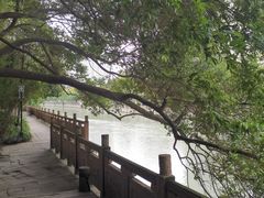 -成都市活水公园