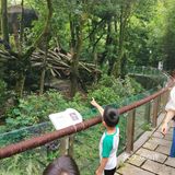 闯入熊猫🐼睡眠王国？[害羞]