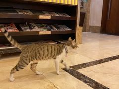 -钱柜音乐会所(罗湖店)