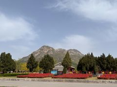 -中岳庙