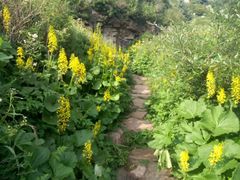 -芦芽山旅游度假区