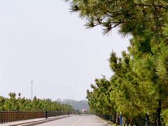 -日照海滨国家森林公园