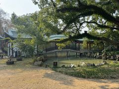 -江心屿景区