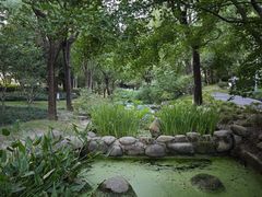 -陈家山荷花公园