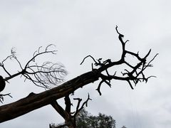 -玉泉观
