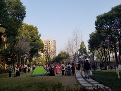 -重庆市江北嘴中央商务区中央公园