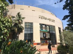 -墨尔本皇家植物园