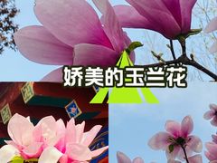 -丰台花园