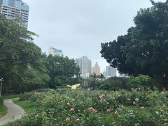 -人民公园(罗湖区)