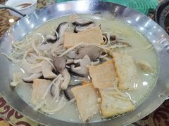 -柳饮·春柳酒家