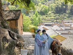 -杨家堂村