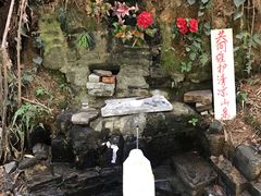 -三门江国家森林公园