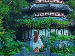 -深圳国际园林花卉博览园