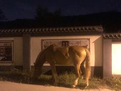 -鬼笑石后山停车场