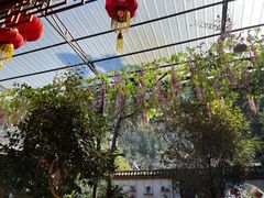 -贵长农家乐·北海湿地