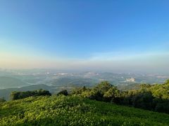 -黄埔油麻山森林公园