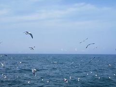 -大连海昌东方水城