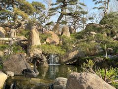 -罗红摄影艺术馆