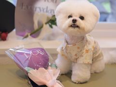 -KUDDO COFFEE(云城万科里店)