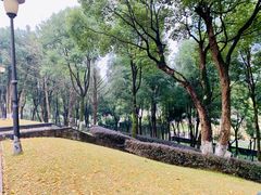 -重庆市江北嘴中央商务区中央公园