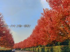 -南京枫彩漫城