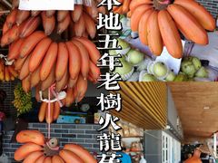 -大湾区中央湿地公园-十九涌