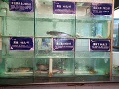 水产区-小牛海记潮汕牛肉店(永定路店)